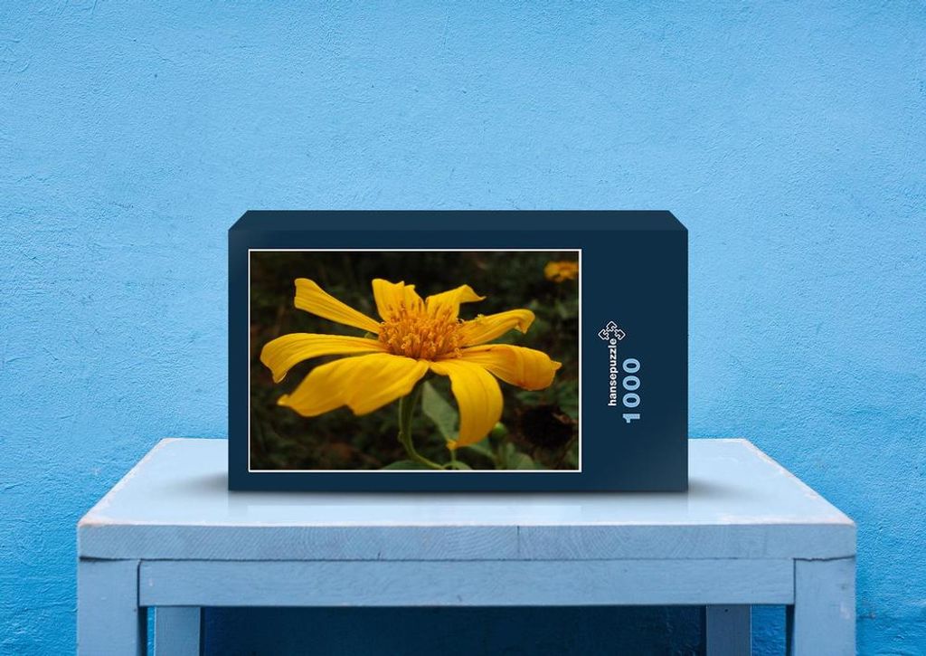 hansepuzzle 80759 - Botanik Puzzle, 1000 Teile, Natur, 60,0 x 46,0cm mit hochwertiger Aufbewahrung, Kartonbox und wiederverschließbarem Beutel