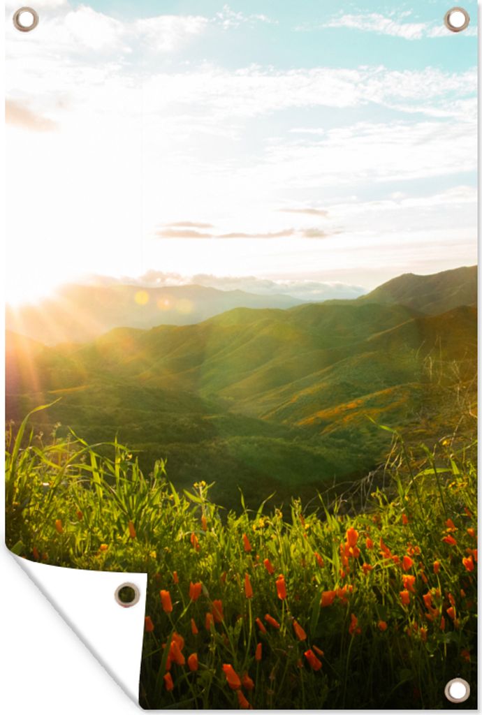 MuchoWow 40x60 cm Outdoor-Poster Gartendeko Sichtschutz Garten Poster für den Garten Hügel - Sonnenuntergang - Gras - Grün