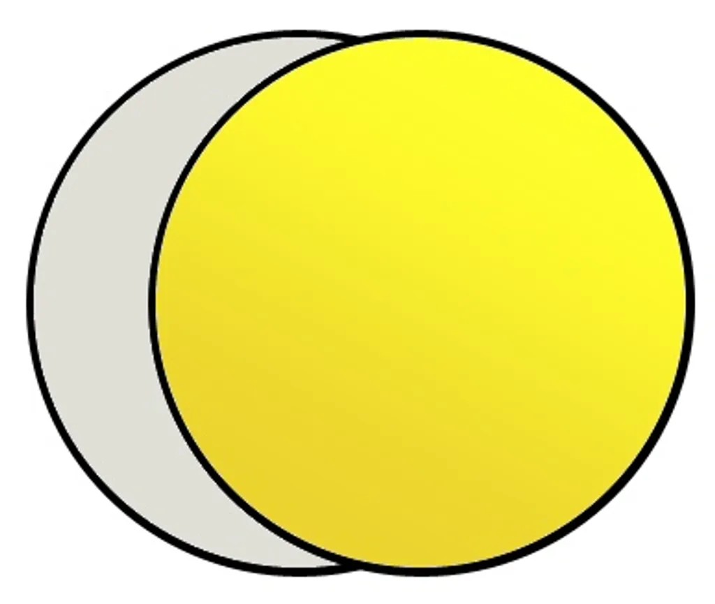 Réflecteur Studio 107 cm pour Éclairage Portrait et Mode Extérieur - 2