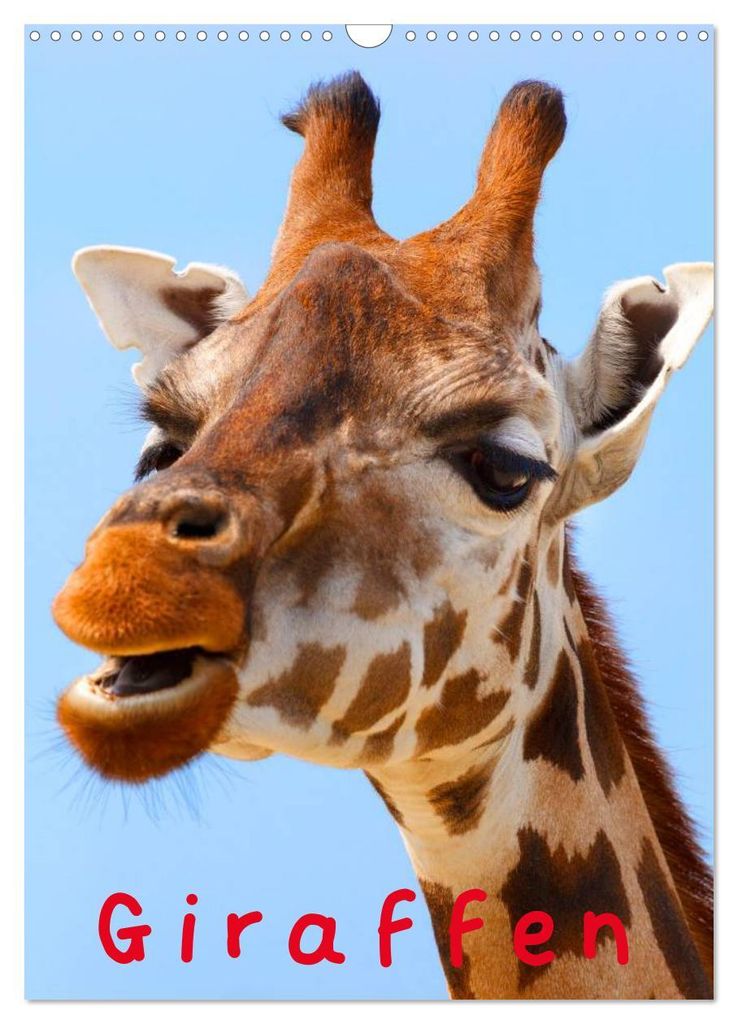 Giraffen (Wandkalender 2027 DIN A3 hoch), CALVENDO Monatskalender