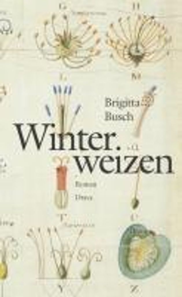 Winterweizen