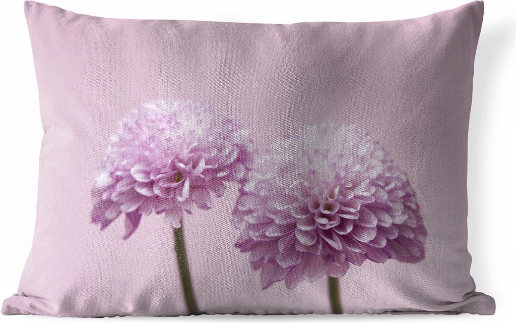 MuchoWow Outdoor Kissen - Zwei rosa Chrysanthemen - 50x30 cm - Wetterfest - Lounge Kissen - Sofa kissen - Wohnzimmer Dekoration
