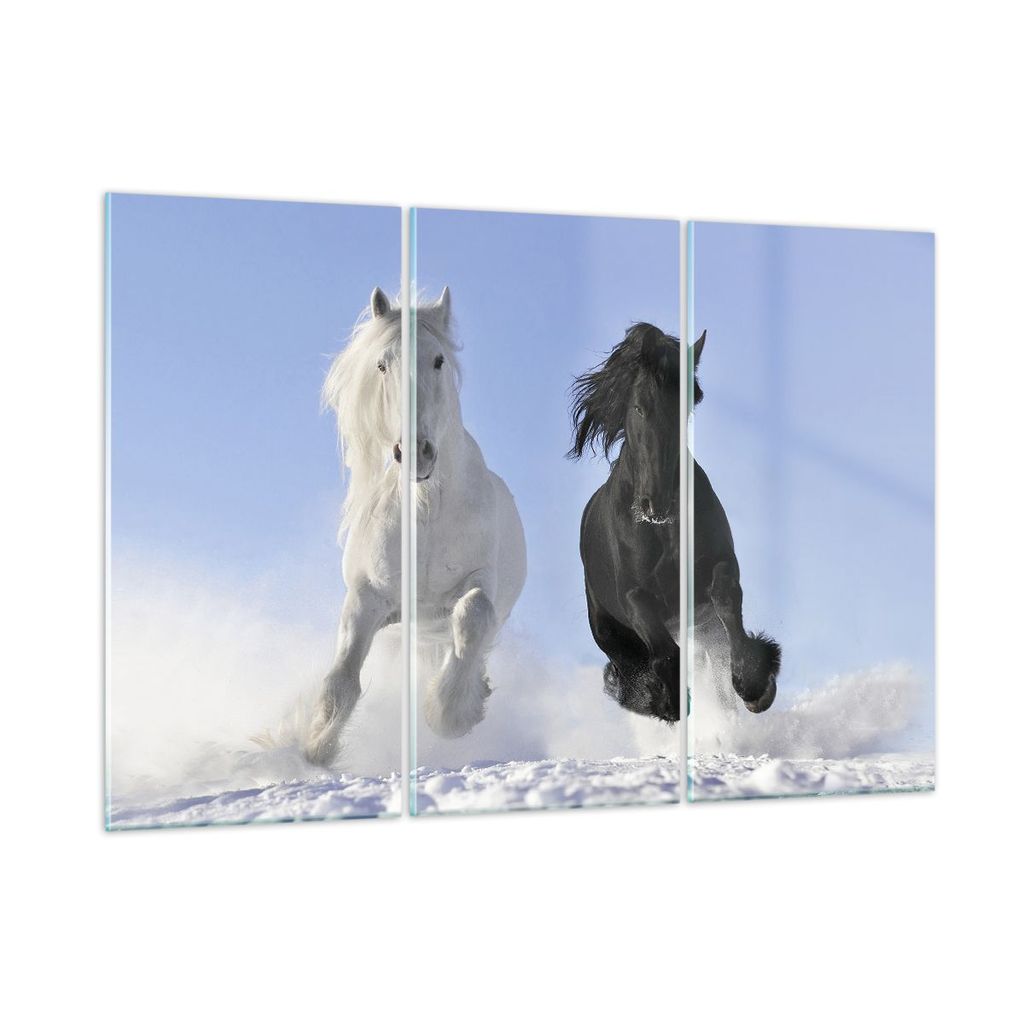 Bilder auf glas - Tiere Schönheit Wettbewerb - 165x110cm - Glasbilder - Wandbilder - Kunstdruck - zum Aufhängen bereit - Wanddekoration aus Glas ...