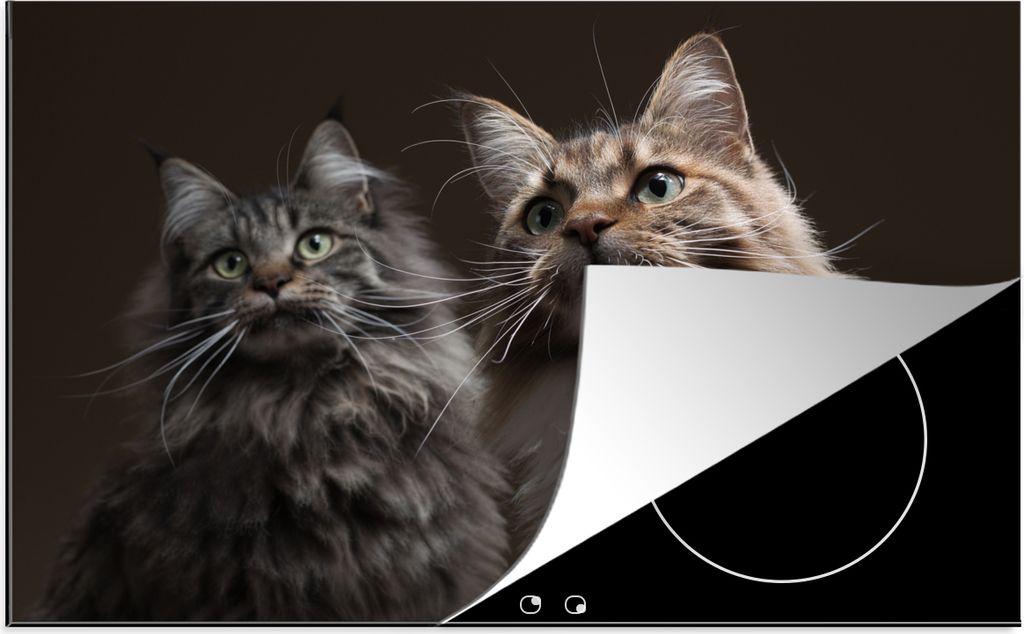 KitchenYeah Herdabdeckplatte Zwei süße Maine Coon Katzen , 81x52cm, Küche Deko, Glaskeramikkochfeld Herdabdeckung, Abdeckplatte fùr Kochfeld