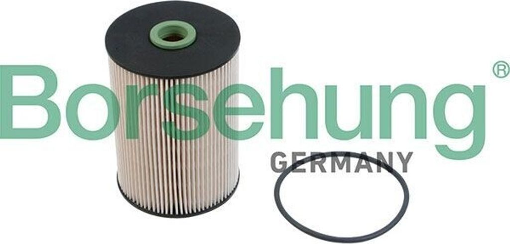Kraftstofffilter Borsehung B12214 für VW GOLF VI (5K1) Filtereinsatz