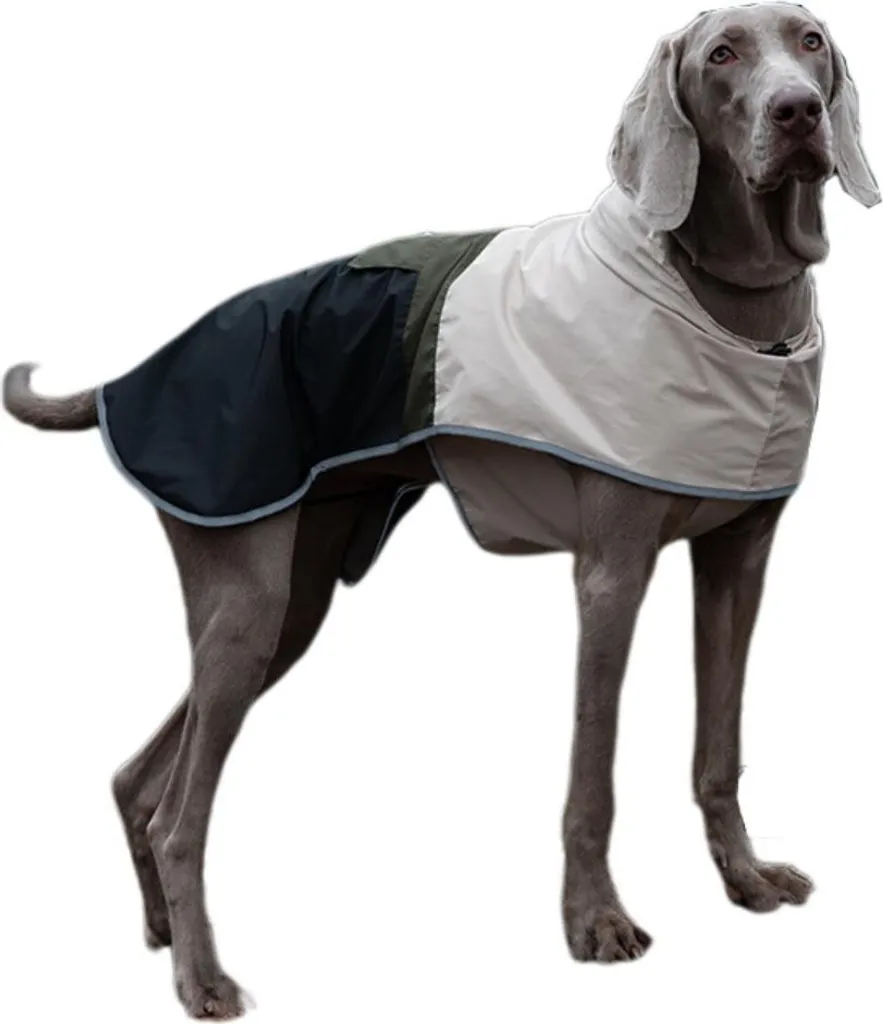 INF Cappotto impermeabile e antivento per cani grandi in polyester per primavera 1 pezzo M