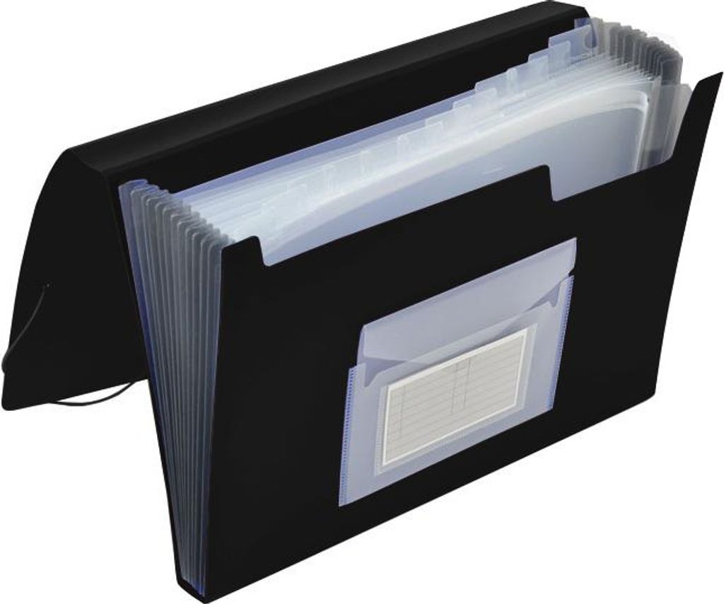Q-Connect® KF01276 Cartella - 13 tasche, 250 fogli, PP, Immagine del prodotto 