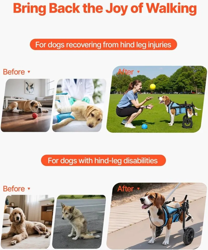 Carrozzina per cani per zampe posteriori, carrozzina per animali domestici regolabile a 2 ruote, carrozzina leggera per cani con ruote ammortizzanti, carrozzina di supporto alla mobilità per cani disabili o feriti fino a 10 kg, piccola - 2