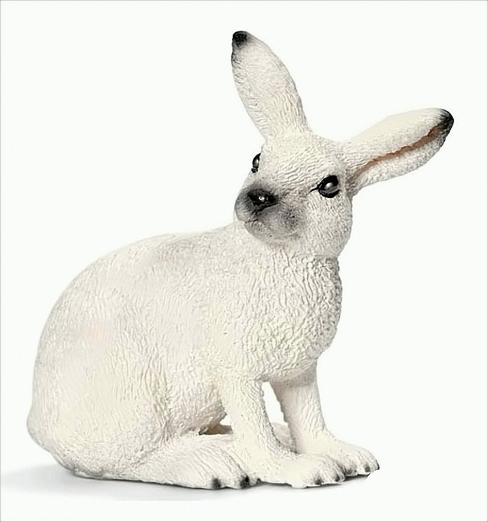 Lepre delle nevi Schleich Immagine del prodotto 