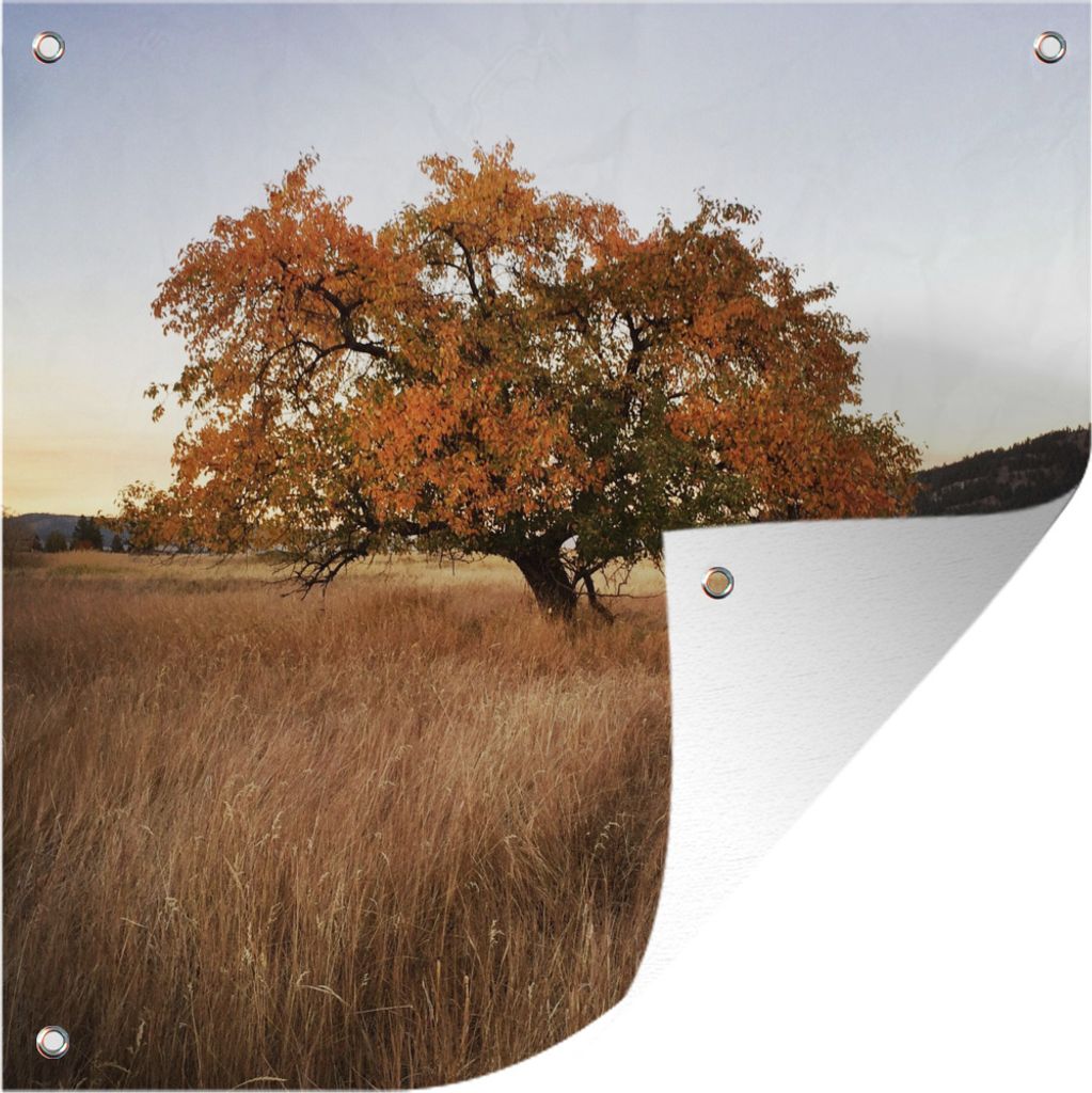 MuchoWow 50x50 cm Outdoor-Poster Gartendeko Sichtschutz Garten Poster für den Garten Apfelbaum - Herbst - Wiese