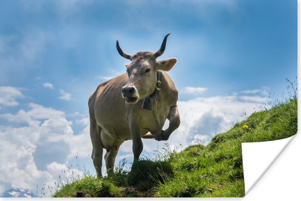 MuchoWow Poster Kuh - Gras - Alpen 30x20 cm - Plakate - Print