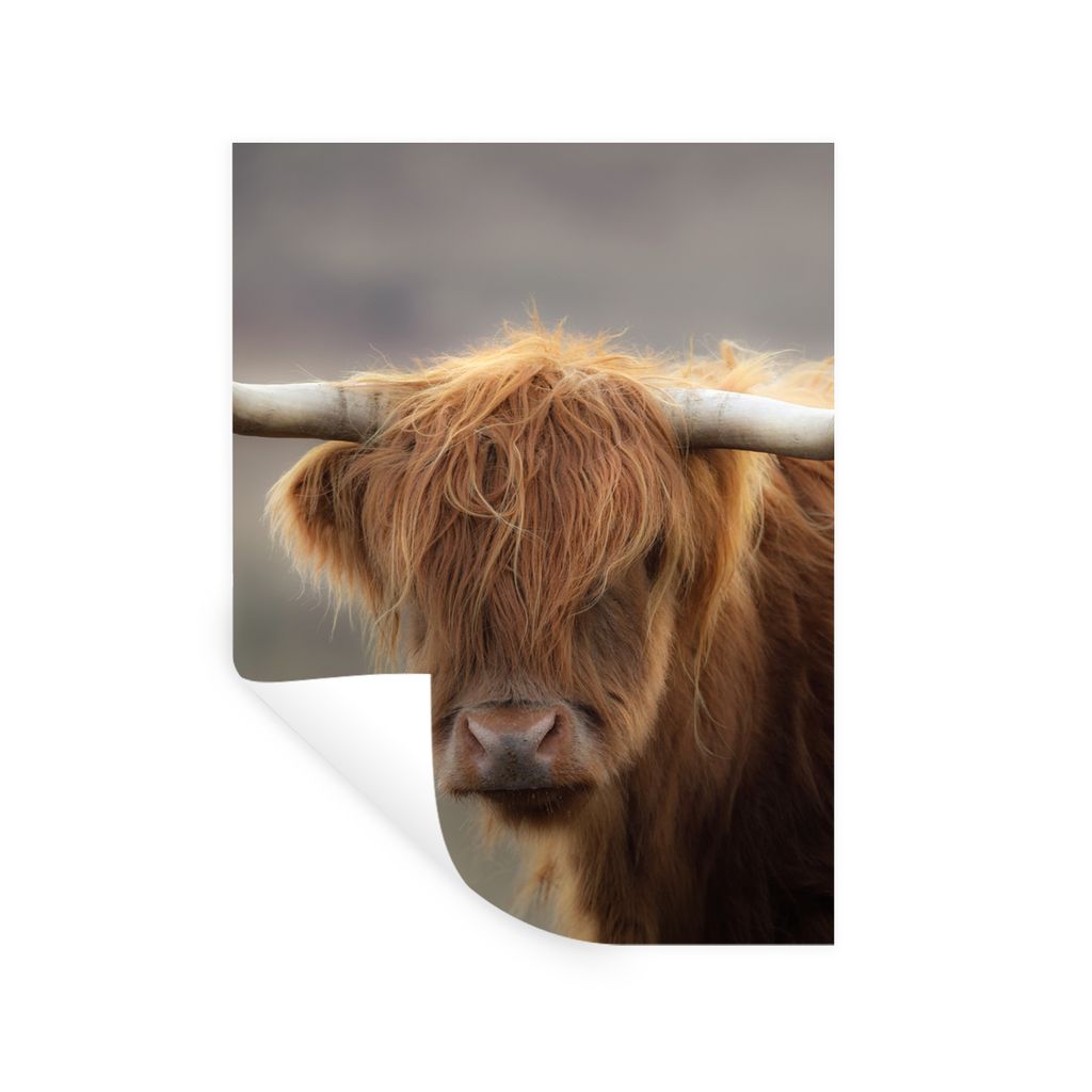 MuchoWow Wandtattoo Wandsticker Wandaufkleber Schottischer Highlander - Hörner - Haare 90x120 cm Selbstklebend und Repositionierbar - Faltenfrei