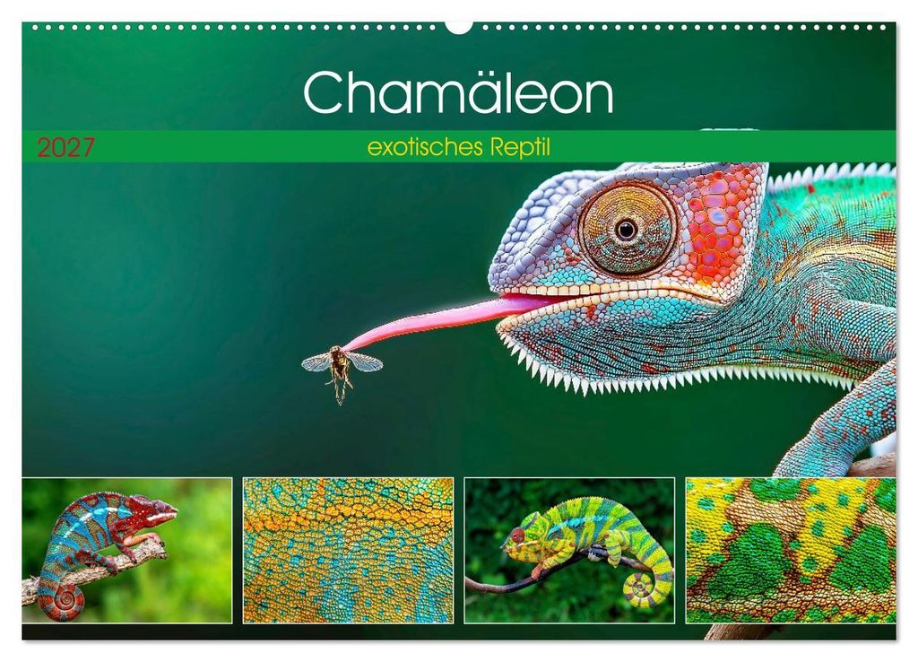 Chamäleon - exotisches Reptil (Wandkalender 2027 DIN A2 quer), CALVENDO Monatskalender