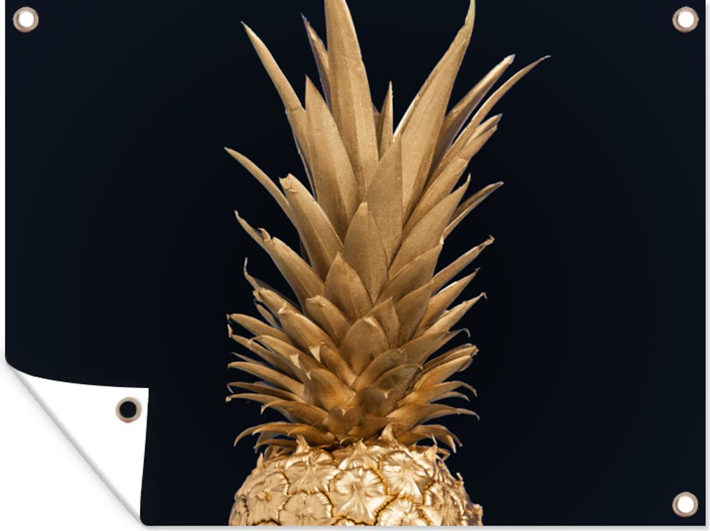 MuchoWow 80x60 cm Outdoor-Poster Gartendeko Sichtschutz Garten Poster für den Garten Ananas - Gold - Farbe - Schwarz - Obst - Luxus