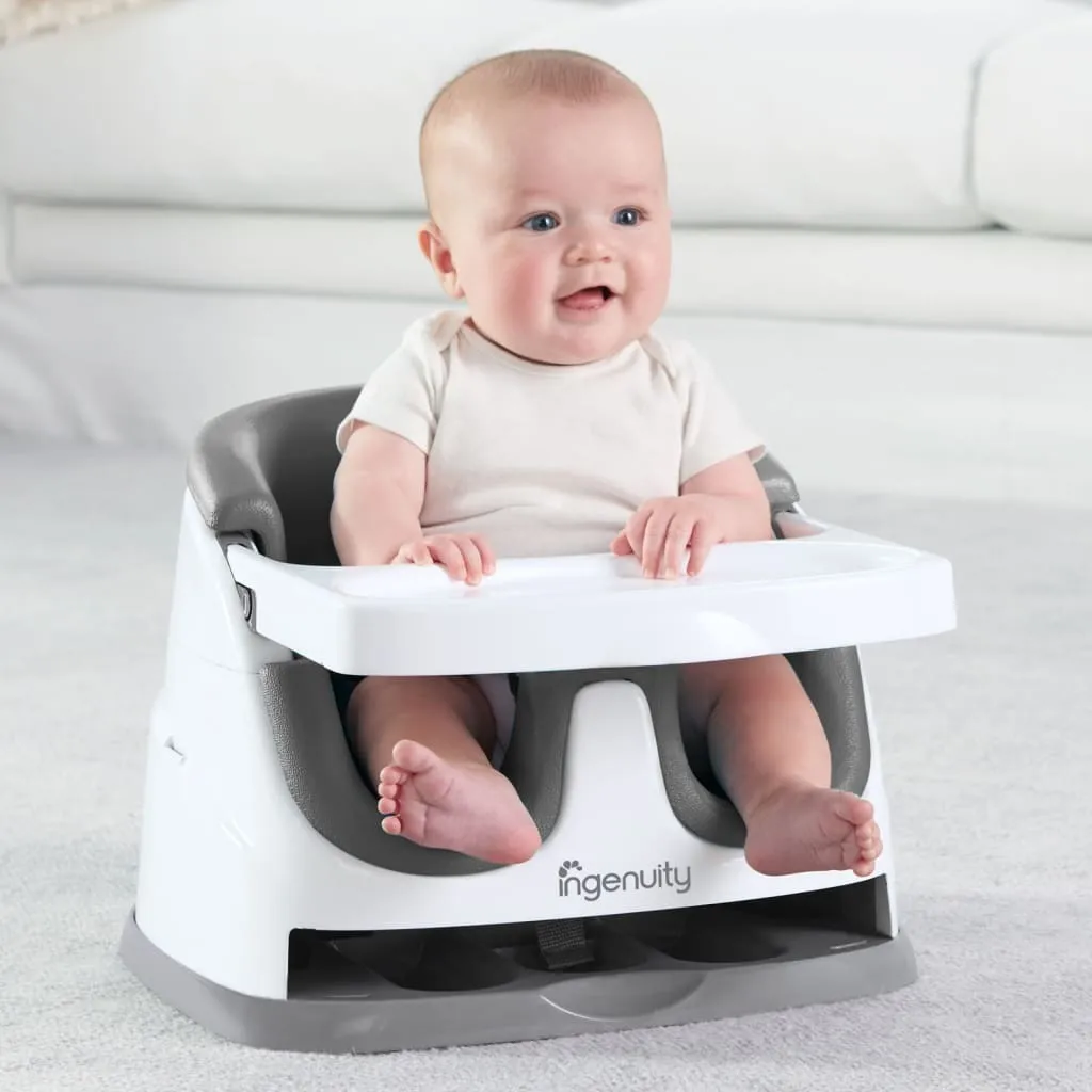 Ingenuity 2-in-1 Babysity Transat Bébé Évolutif Gris Schiefergrau