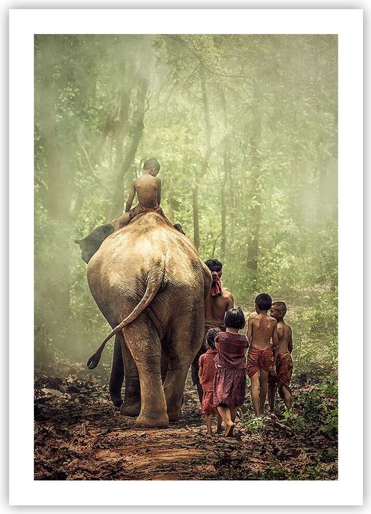 Poster - Poster ohne Rahmen - Elefant Dschungel Nebel - 50x70 cm - Wand Bild - Wanddeko - Wandbilder - Kunstposter - Wandposter - Bilder - Kunstdru...