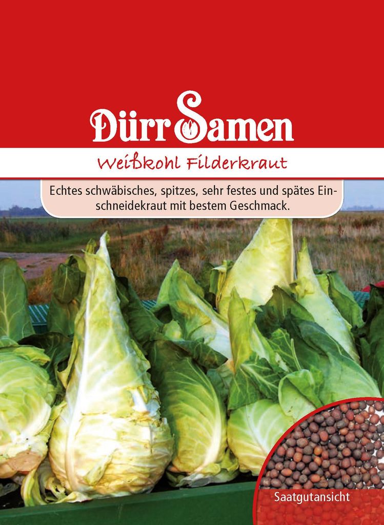 Weißkohl Filderkraut | Weißkohlsamen von Dürr Samen Produktbild 