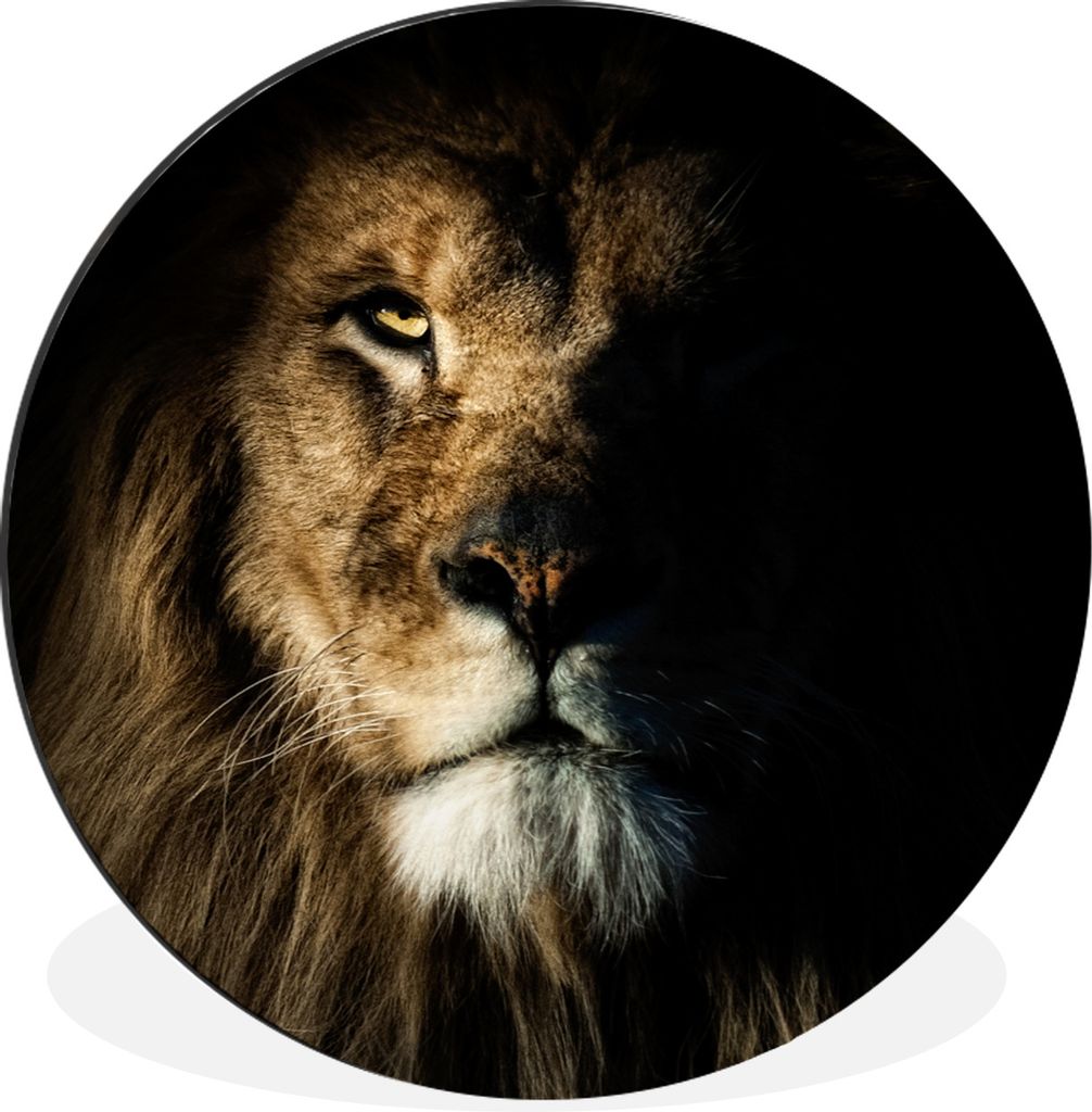 MuchoWow Aluminium Wandkreis Löwe - Licht - Porträt Ø 60 cm Wanddeko Modern Wohnzimmer - Wand Kreis - Wandbild - Schlafzimmer - Aluminium Bild...