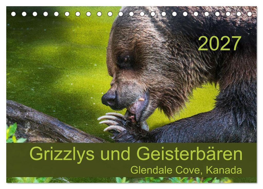Grizzlys und Geisterbären - Glendale Cove, Kanada (Tischkalender 2027 DIN A5 quer), CALVENDO Monatskalender
