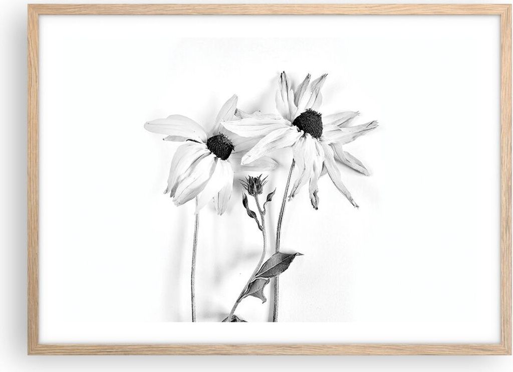 Gerahmtes Poster - Rahmen in heller Eiche - Verwelkt Blumen Produktbild 