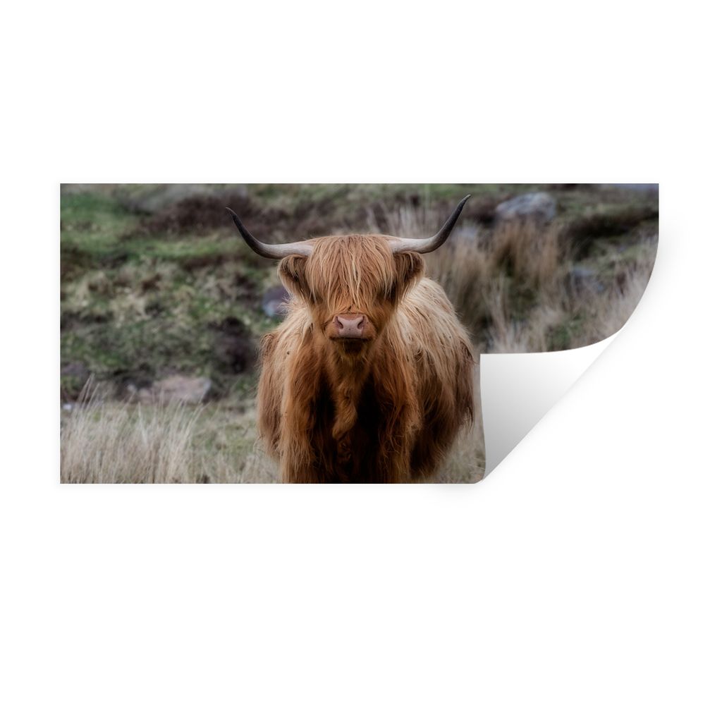 MuchoWow Wandtattoo Wandsticker Wandaufkleber Schottischer Hochländer - Moos - Gras 40x20 cm Selbstklebend und Repositionierbar - Aufkleber