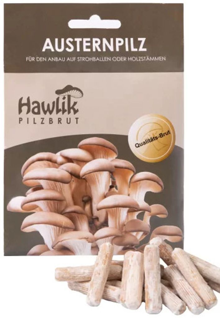 A product package for oyster mushroom cultivation, showing a picture of mushrooms and dowels for planting.
