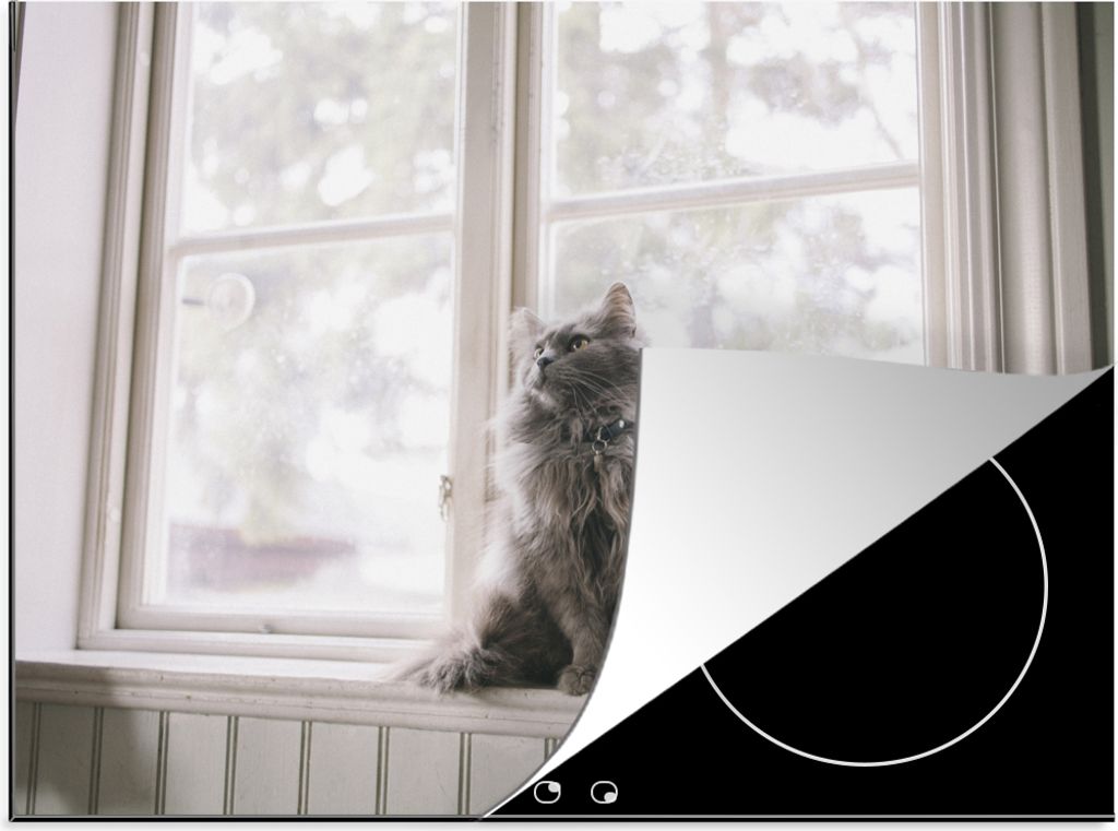 KitchenYeah Herdabdeckplatte Maine Coon Cat sitzt auf der Fensterbank , 70x52cm, Küche Deko, Glaskeramikkochfeld Herdabdeckung, Abdeckplatte fù...