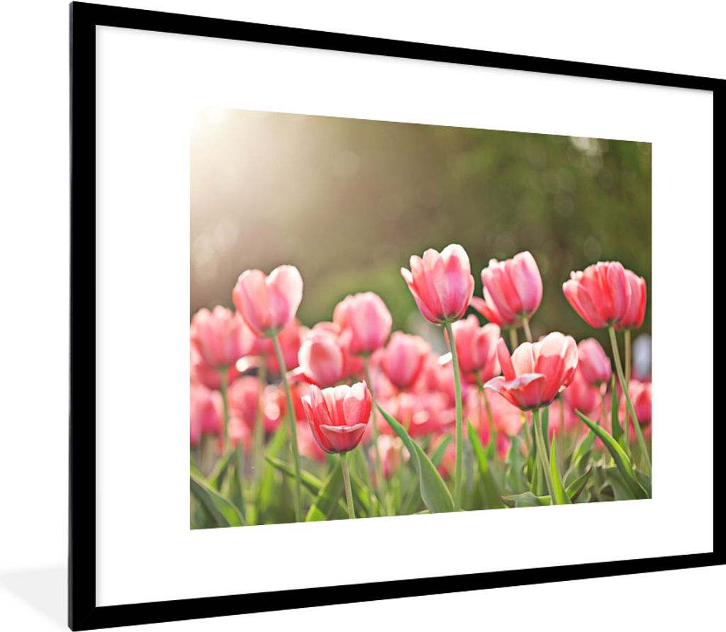 MuchoWow Gerahmtes Poster Tulpen - Sonne - Frühling 80x60 cm - Poster mit Schwarzem Bilderrahmen Wandposter Rahmen Foto Bilder - Schlafzimmer-De...