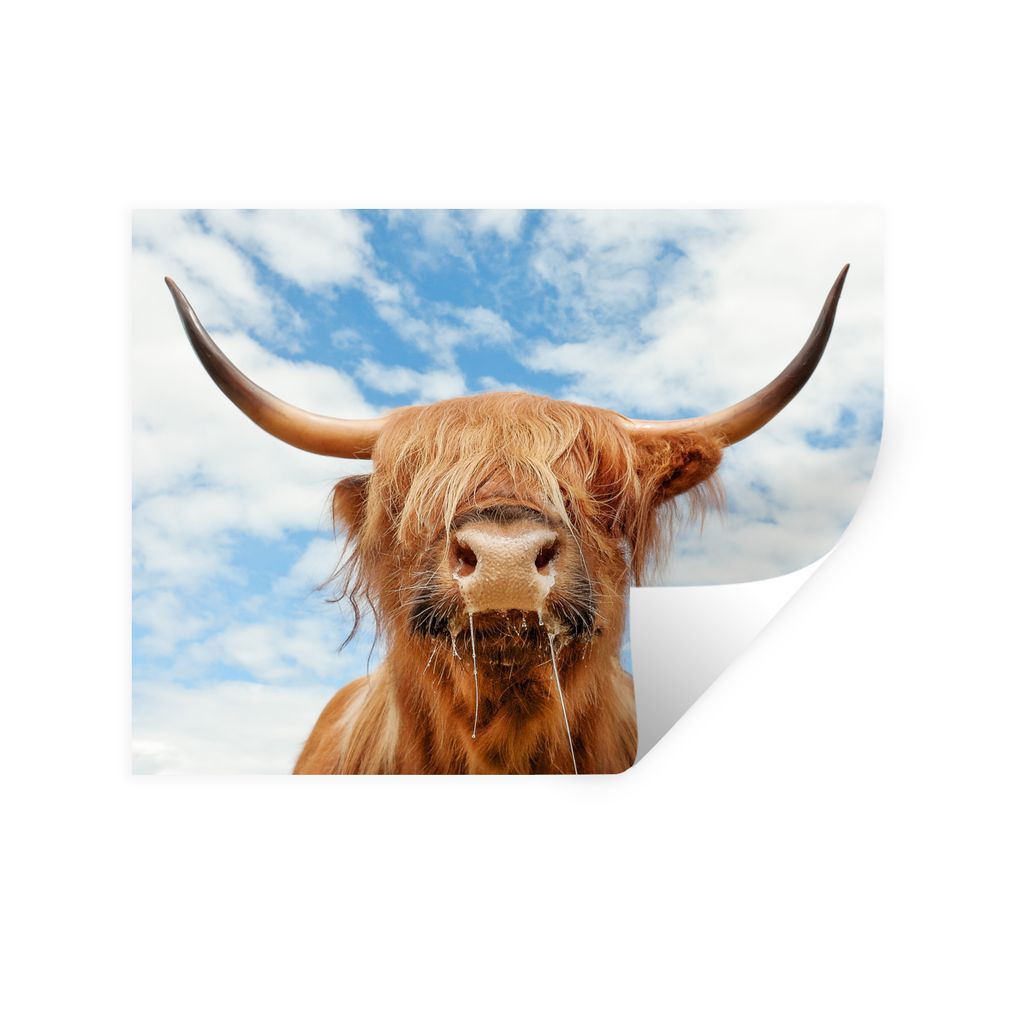 MuchoWow Wandtattoo Wandsticker Wandaufkleber Schottischer Highlander - Wolke - Tiere 120x90 cm Selbstklebend und Repositionierbar - Aufkleber