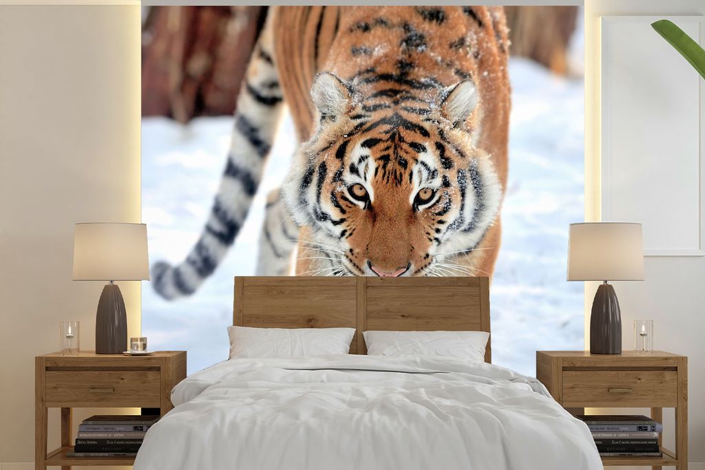 MuchoWow Fototapete für Wohnzimmer oder Schlafzimmer Wandtapete Vinyl Motivtapete Tiger - Schnee - Tiere - 240x240 cm - Schlafzimmer-Tapete