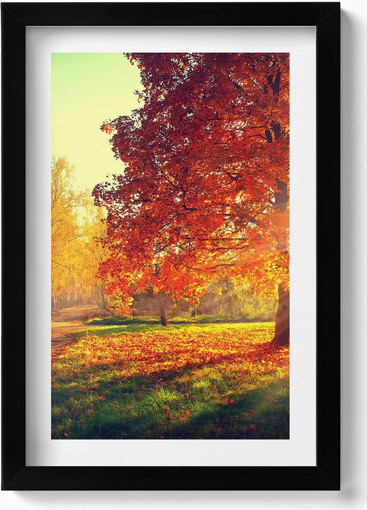 Herbstlicher Park– Wandbild mit Rahmen – Gerahmtes Bild – Wanddekoration – 20x30 cm – Schwarz