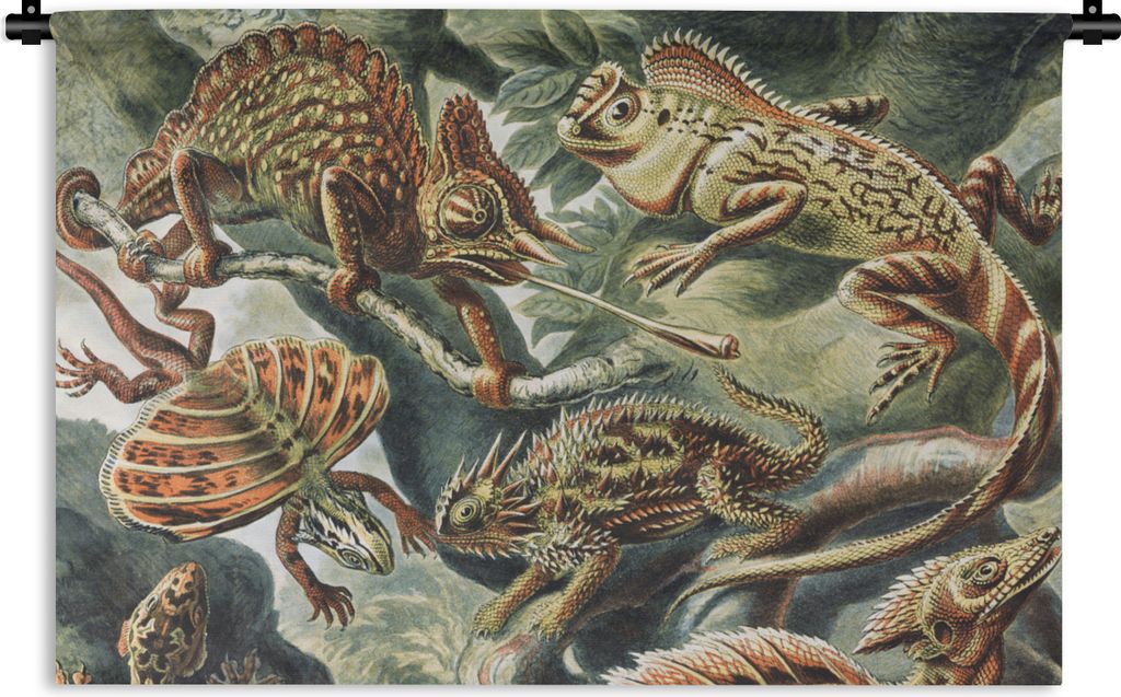 MuchoWow Wandteppich Wandbehang Jahrgang - Kunst - Ernst Haeckel - Salamander - Tiere 90x60 cm Tapisserie Dekoration Wandtuch - Wandskulpturen - ...