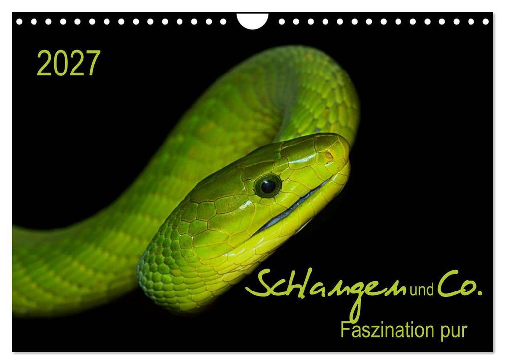 Schlangen und Co. - Faszination pur (Wandkalender 2027 DIN A4 quer), CALVENDO Monatskalender