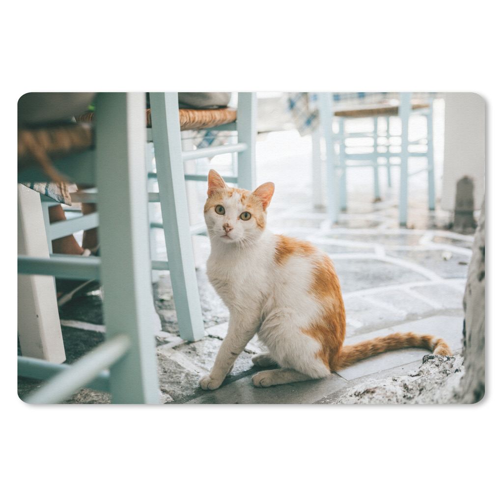 MuchoWow Schreibtischunterlage Katze - Stuhl - Boden 60x40 cm - XXL Mauspad - Großes Mauspad