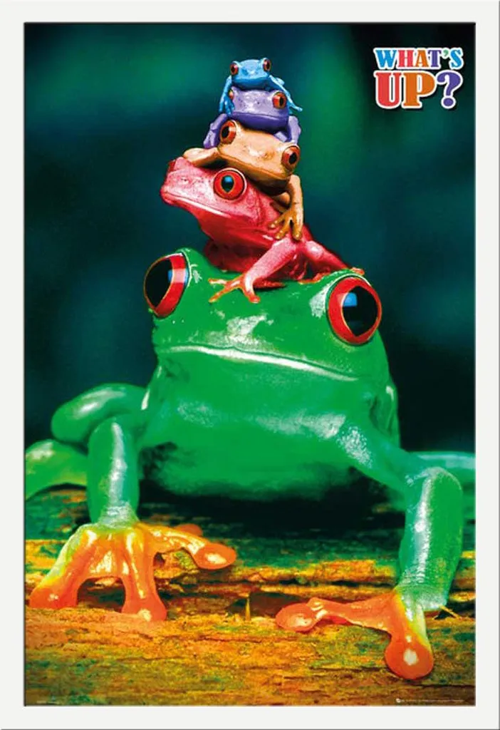 Poster Frogs Shinsuke Maxi avec cadre blanc MDF et vitre acrylique