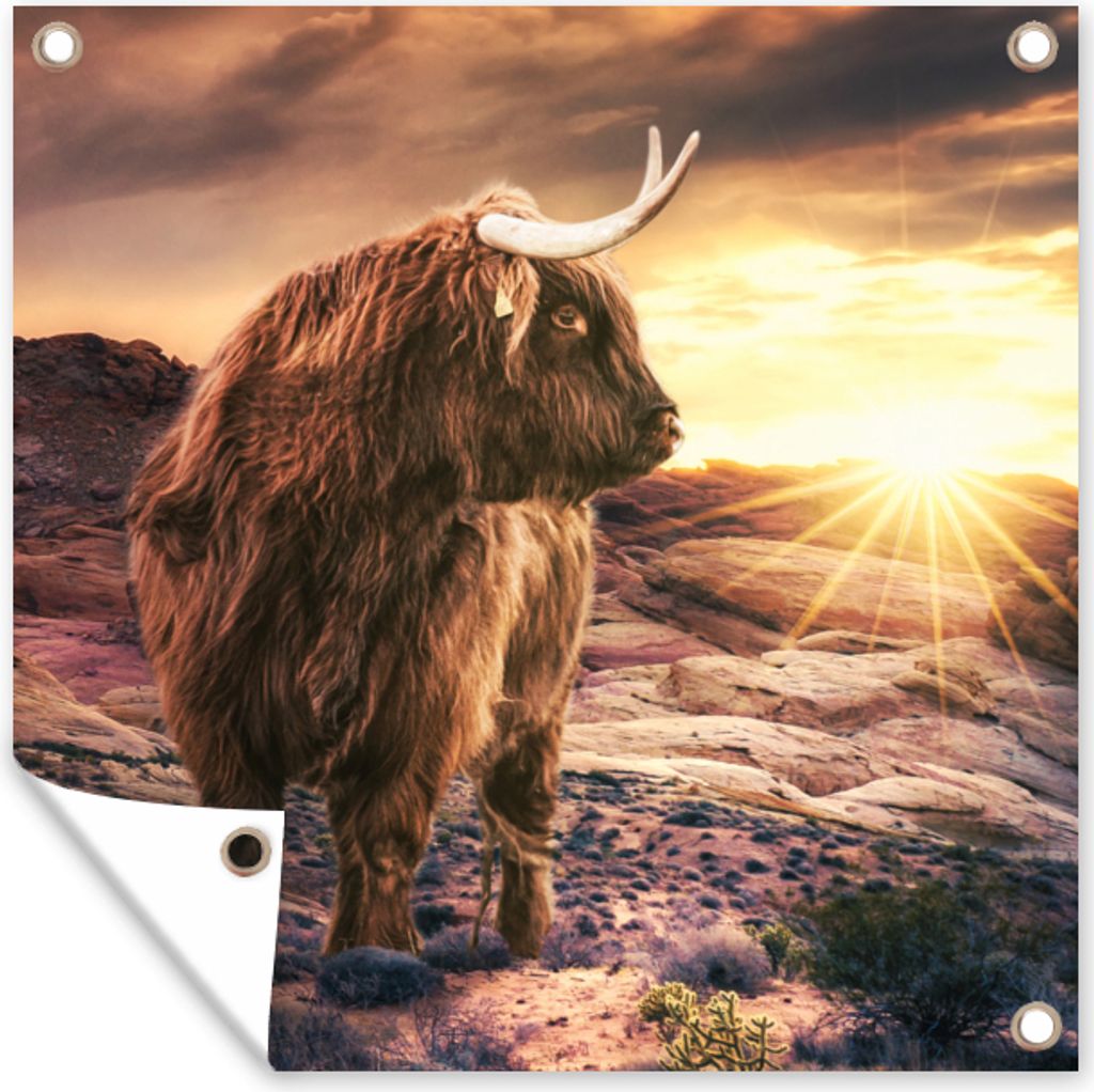 MuchoWow 50x50 cm Outdoor-Poster Gartendeko Sichtschutz Garten Poster für den Garten Kuh - Schottischer Highlander - Steine