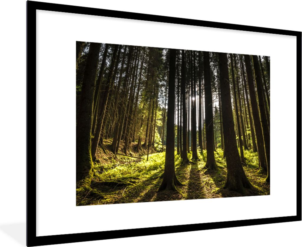 MuchoWow Gerahmtes Poster Baum - Natur - Sonne - Wald 90x60 cm - Poster mit Schwarzem Bilderrahmen Wandposter Rahmen Foto Bilder - Wanddekoration...