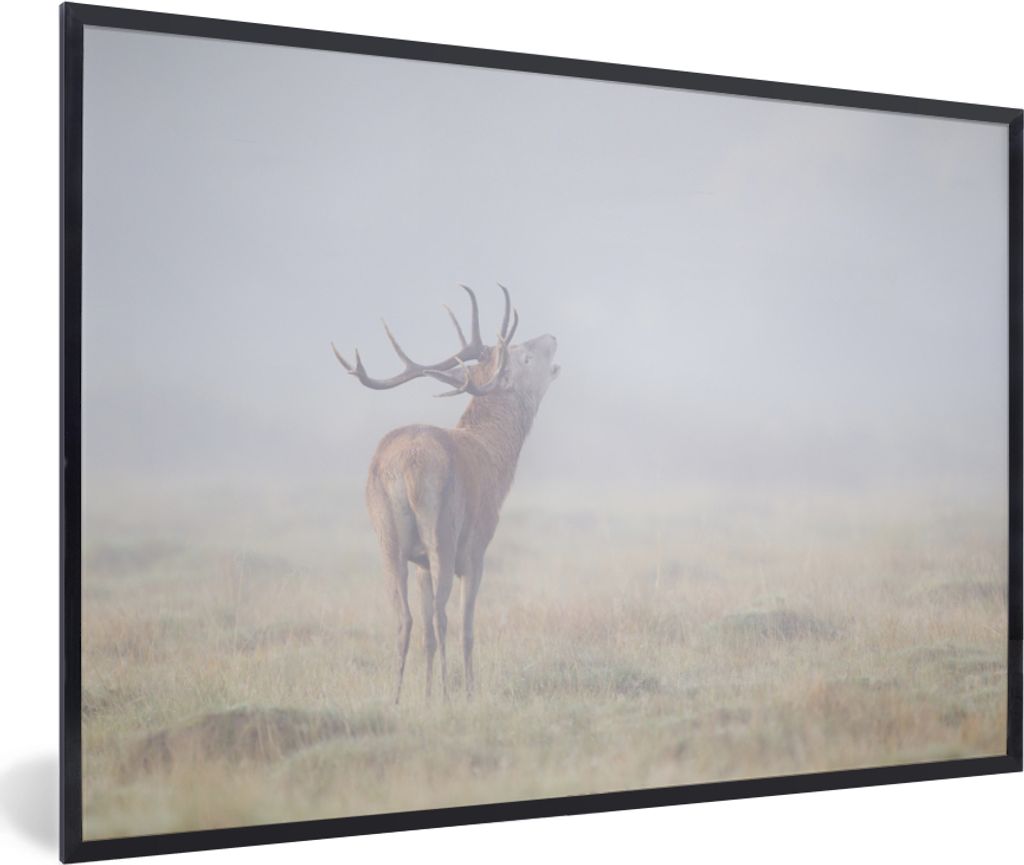 MuchoWow MuchoWow Gerahmtes Poster Hirsche - Gras - Nebel 30x20 cm - Poster mit zchwarzem Bilderrahmen - Kunstdruck - Bild-Poster