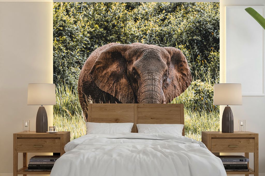 MuchoWow Fototapete für Wohnzimmer oder Schlafzimmer Wandtapete Vinyl Motivtapete Elefant - Gras - Natur - 220x220 cm - Tapeten
