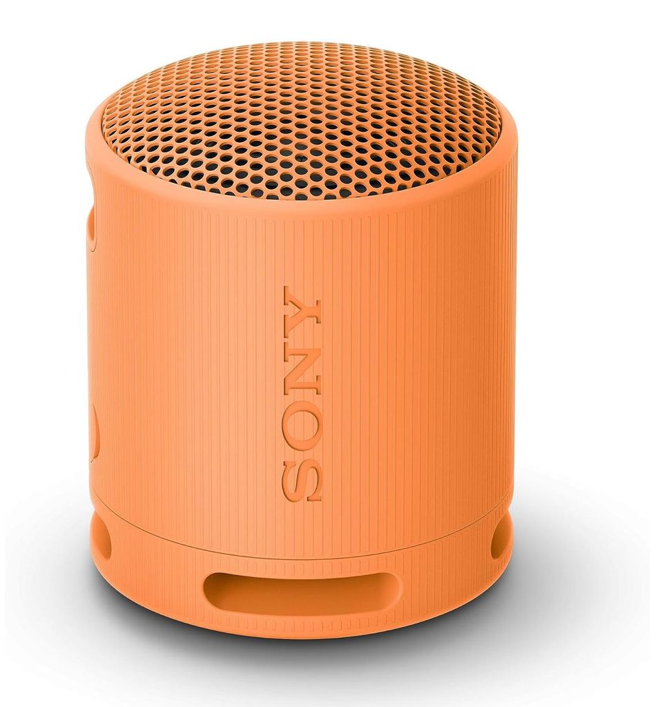 Sony SRS-XB100, Kabellos, A2DP, HFP, AAC, AVRCP, SBC, USB Produktbild 