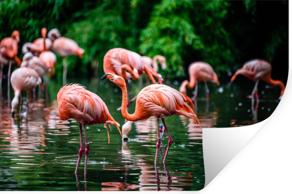 MuchoWow Wandtattoo Wandsticker Wandaufkleber Flamingo - Tropisch - Vogel - Wasser - Rosa 90x60 cm Selbstklebend und Repositionierbar - Aufkleber