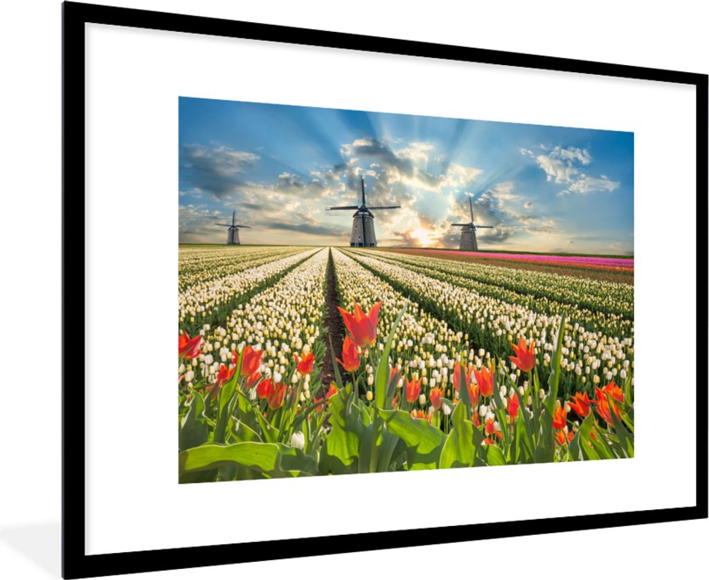 MuchoWow Gerahmtes Poster Windmühle - Tulpen - Himmel - Natur 90x60 cm - Poster mit Schwarzem Bilderrahmen Wandposter Rahmen Foto Bilder - Wandd...