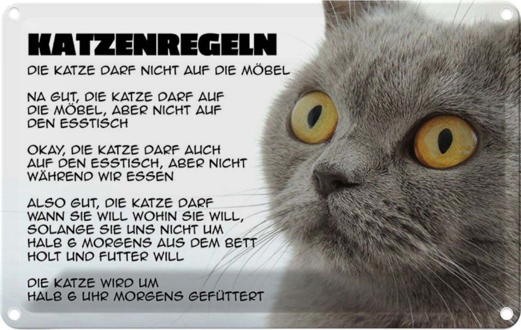 vianmo Blechschild 12x18 cm Katzenregeln Katze darf nicht Tier Haustier