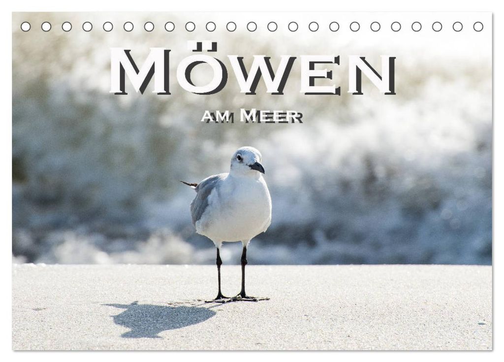 Möwen am Meer (Tischkalender 2027 DIN A5 quer), CALVENDO Monatskalender