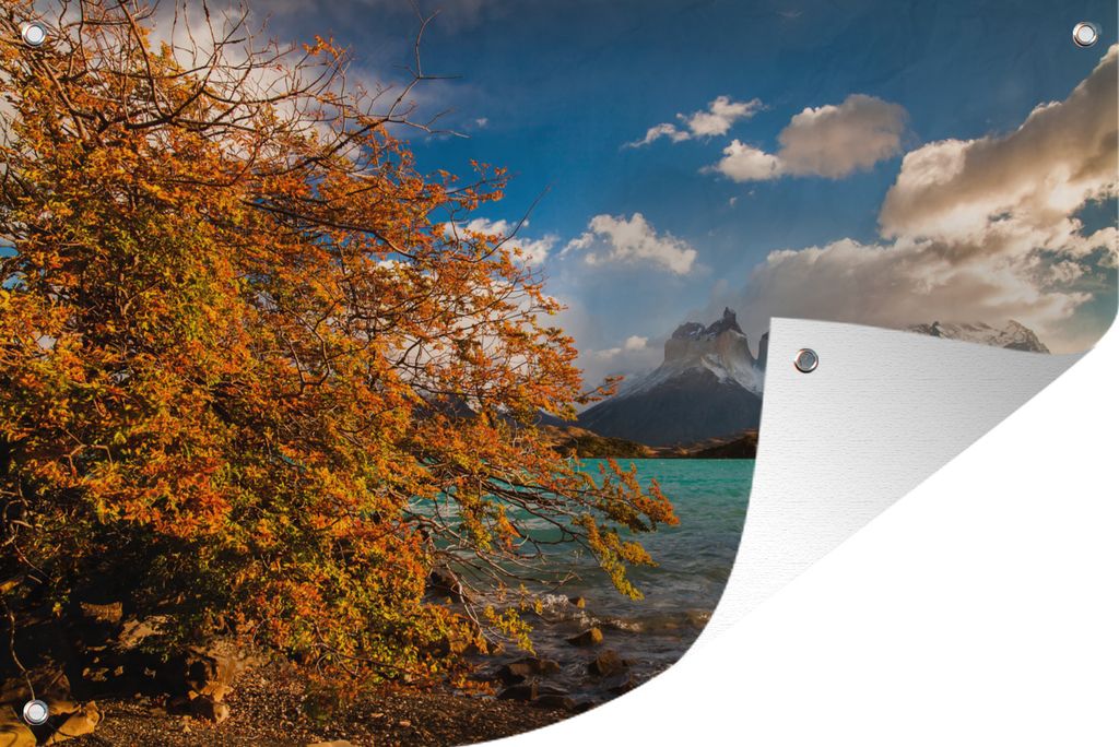 MuchoWow