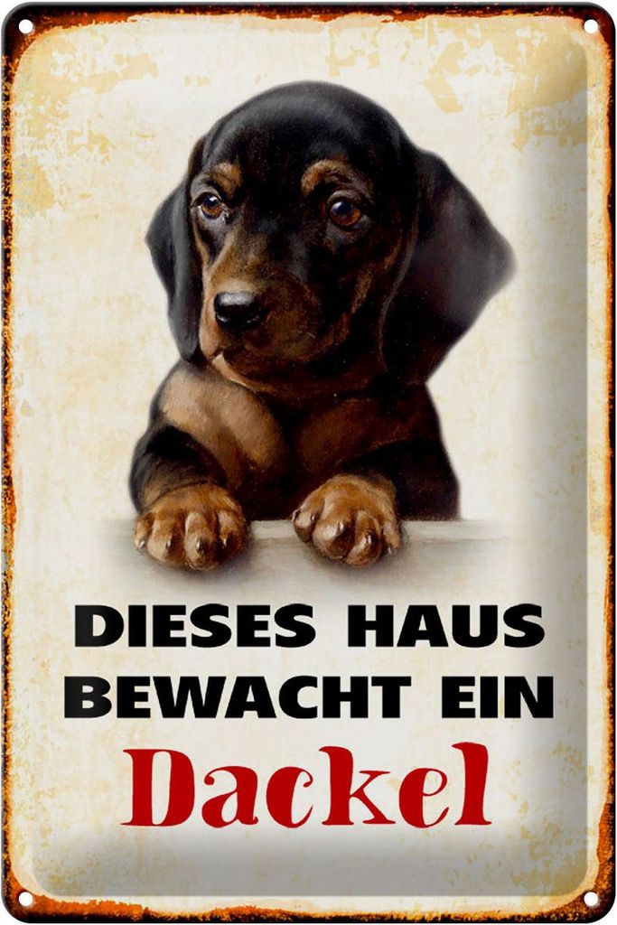 Blechschild Hund 20x30cm dieses Haus bewacht ein Dackel