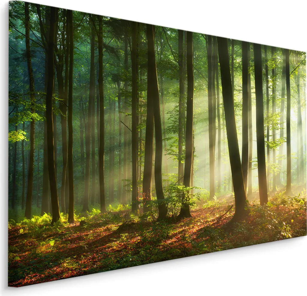 Fotomurale Natura Foresta 100x70 - Carta da Parati Tela Effetto 3D