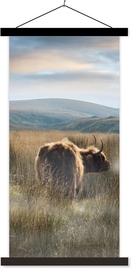 MuchoWow Textilposter Schottische Hochlandrind - Nebel - Gras 60x120 cm mit schwarzem Rahmen - Magnete