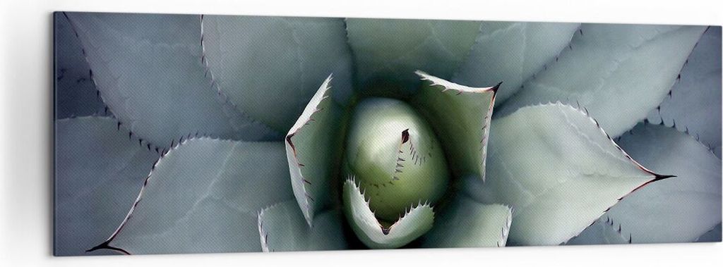 Bild auf Leinwand - Leinwandbild - Einteilig - Blau Blätter Agave - 160x50cm - Wand Bild - Wanddeko - Wandbilder - Leinwanddruck - Bilder - Wandde...