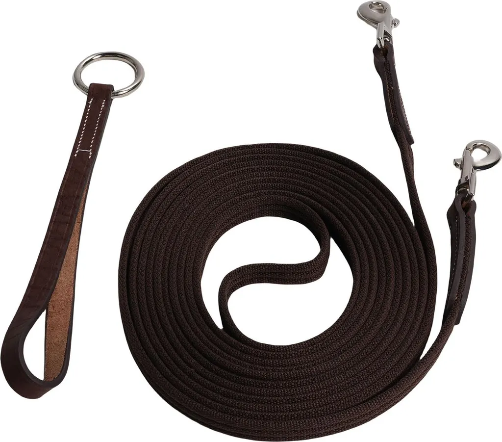 Sangle de marche avec boucle rotative et poignée confort pour licol